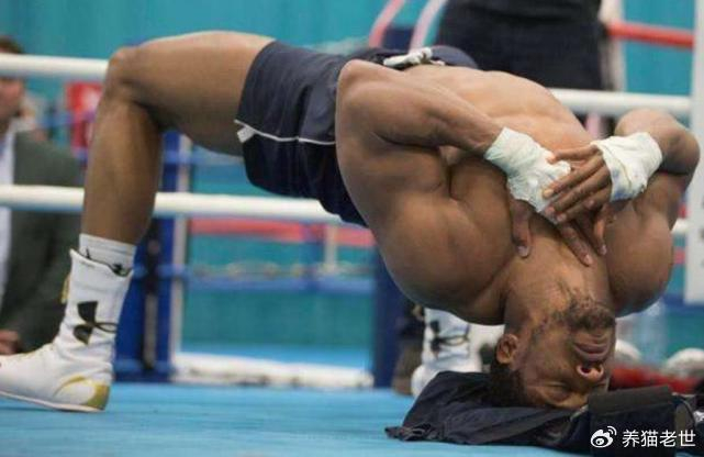 开云平台-体坛5大“非人类”肌肉：泰森的脖子，奥尼尔的手臂，C罗的大腿|博尔特|张伟丽|克里斯蒂亚诺·罗纳尔多|迈克尔-泰森|沙奎尔-奥尼尔_新浪体育_新浪新闻