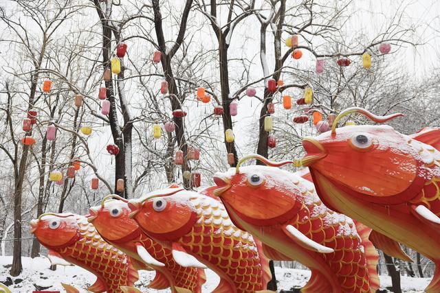 开云体育-连下两天“鹅毛大雪”之后，北京未来一周还有雪吗？